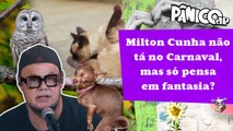 PARA VIVER BEM, MORGADO SUGERE VIDA ANIMAL: BANHO DE GATO, CACHORRADA E SUBIR NA MADEIRA?
