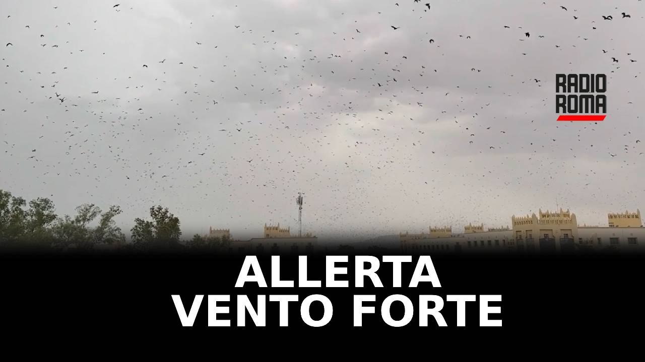Maltempo a Roma, scatta allerta per forte vento e mareggiate