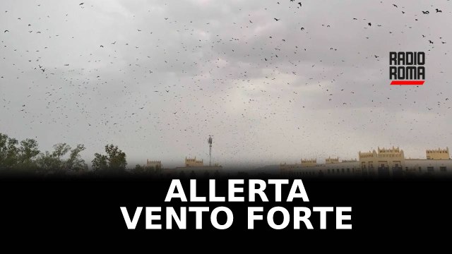 Maltempo a Roma, scatta allerta per forte vento e mareggiate