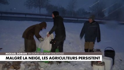 Colère des agriculteurs : «Ils n'ont pas l'intention de s'arrêter»