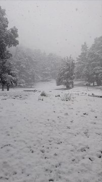 La neige est tombé sur Ifrane, la petite Suisse du Maroc.