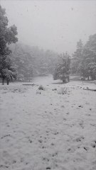 La neige est tombé sur Ifrane, la petite Suisse du Maroc.