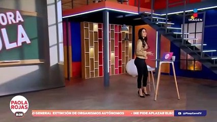 ¡Fernández Noroña no incurrió en violencia política de género!