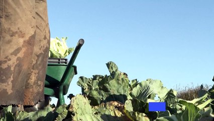 Accord UE-Mercosur: les craintes d'un agriculteur de Seine-et-Marne