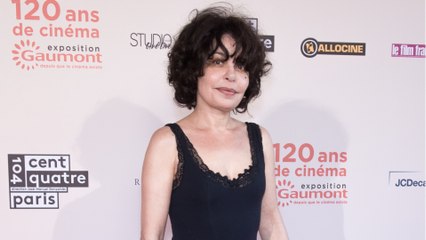 “Imbéciles vautours” : Isabelle Mergault monte au créneau pour défendre Pierre Palmade