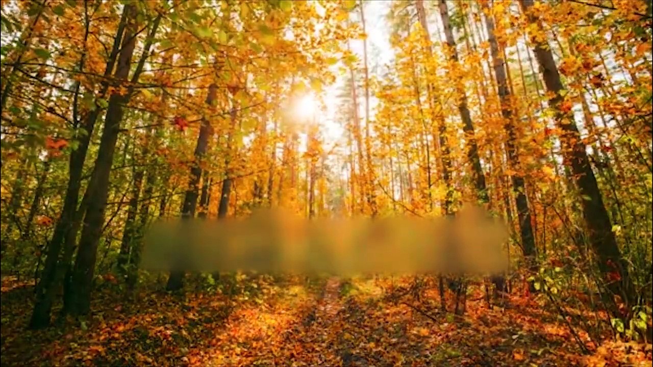 February 29 _ Leap Day _ Leap Year Not Every 4th Year!