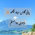 #yahoodi Howa Muslim,#pani glass,seeah bichoo,,,#Islamic waqiat،#Islamic short story,#hikayat,#motivational,#golden words,story, Kahani,