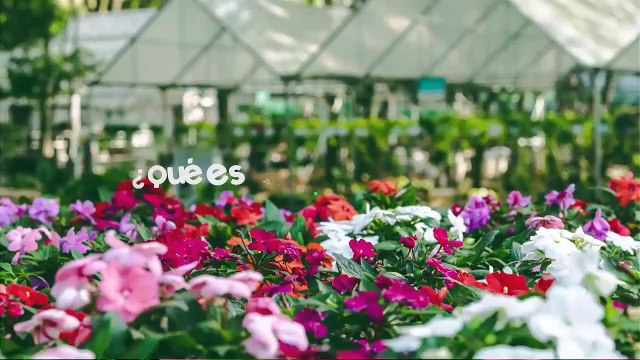 ext-publireportaje-paramo-plantas-211124