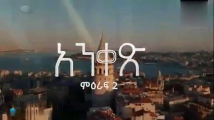 ankes 30_2024-11-21_20-48-52