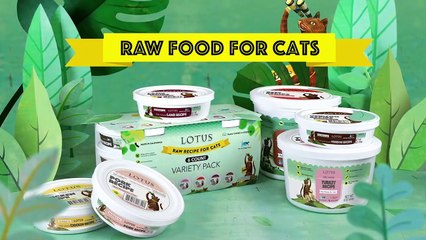 Raw Recipe for Cats
