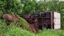 Caminhão tomba às margens da rodovia BR-369 em Cascavel