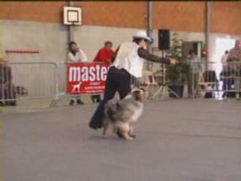 Tao cahors 2008