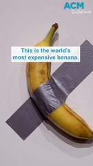 Pick of the bunch: world's most expensive banana sells for $9.5 million