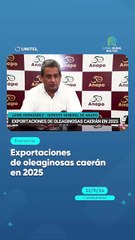 Exportaciones de oleaginosas caerán en 2025