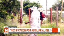 vecinos atacados por abejas