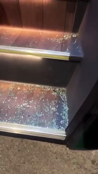 Ônibus do time feminino do Palmeiras é apedrejado em rodovia de São Paulo