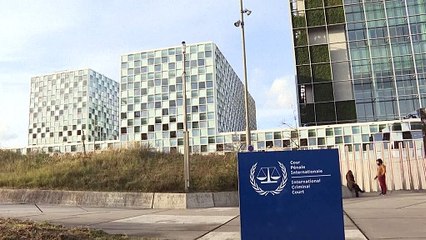 Reacciones a los pedidos de captura de la CPI contra Netanyahu, Gallant y Deif