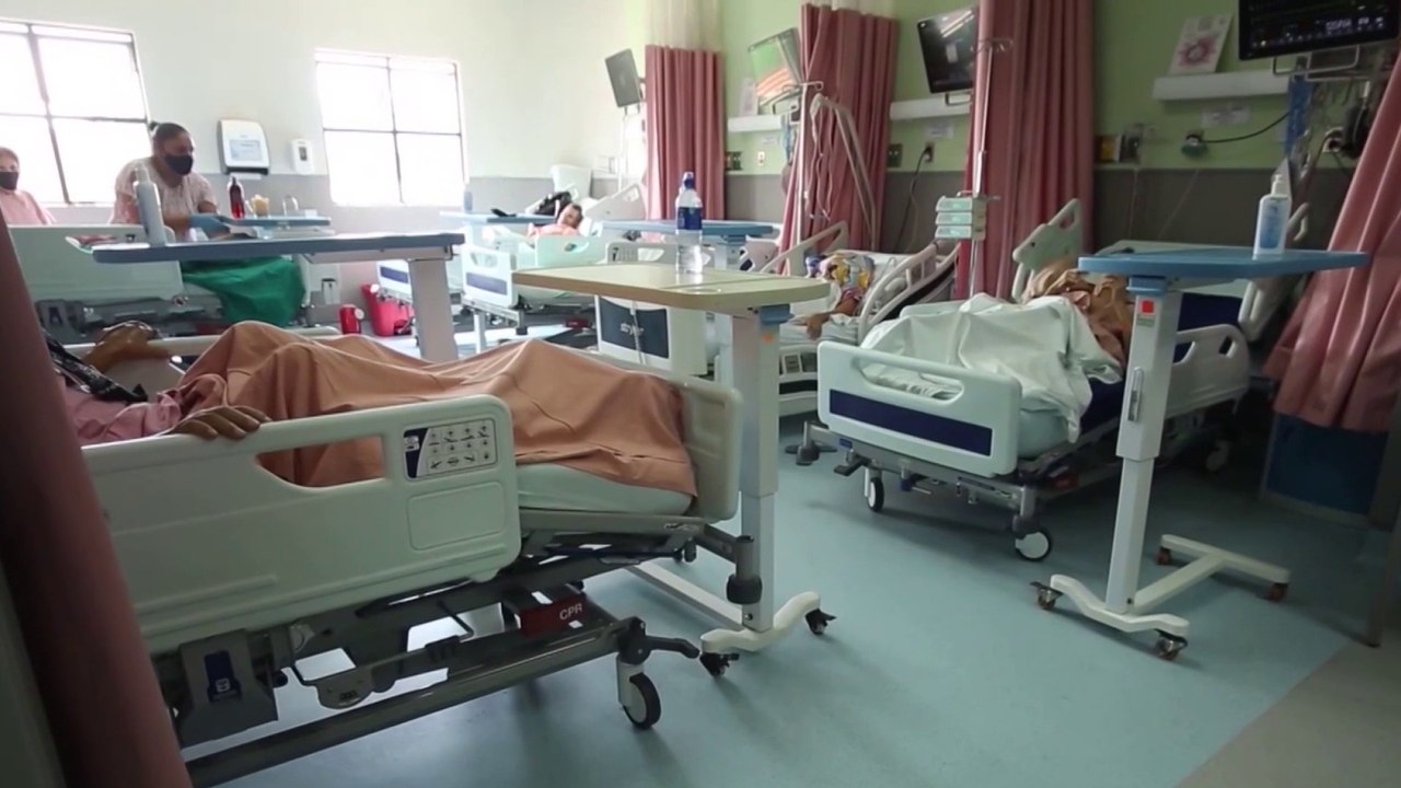 tn7--Aparición de casos autóctonos de dengue en Cartago amenazan con aumentar crisis en Max Peralta-211124