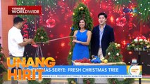 Christmas-Serye: Fresh Christmas Tree | Unang Hirit