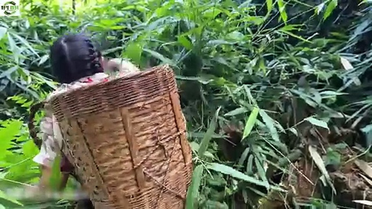 野生露营的-Wild camping 7