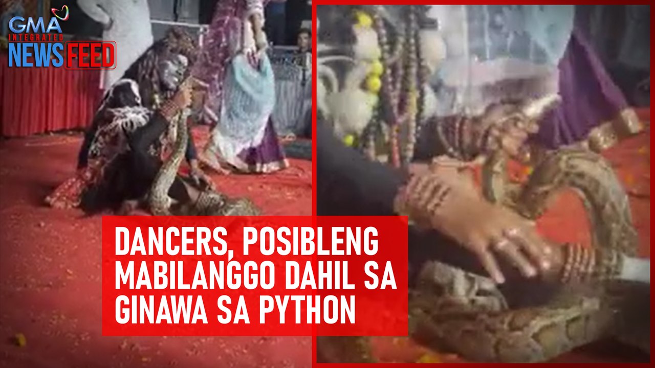 Dancers, posibleng mabilanggo dahil sa ginawa sa python | GMA Integrated Newsfeed