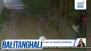 Pagnanakaw ng lalaki sa isang kambing, huli-cam | Balitanghali