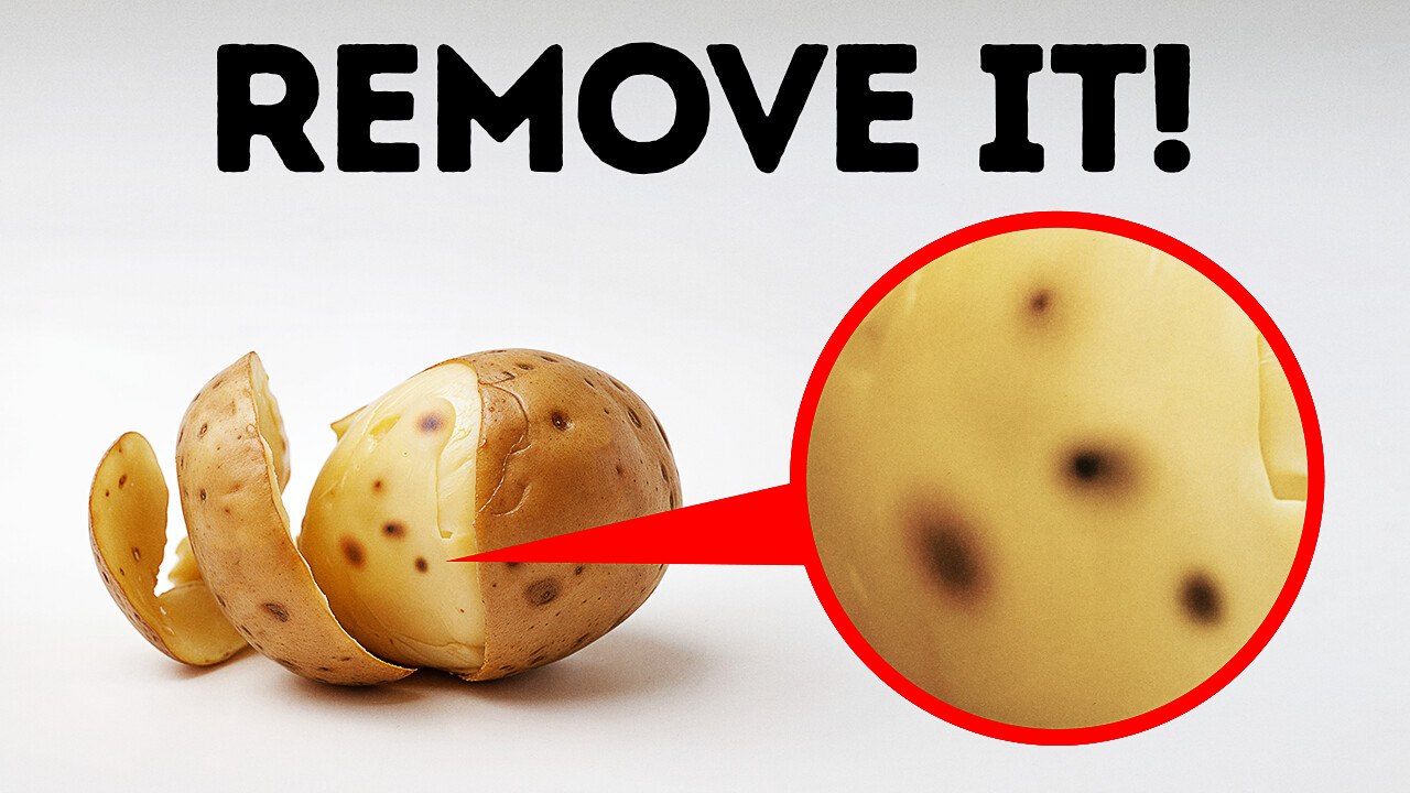 90+ Mind-Blowing Facts to Challenge What You Know