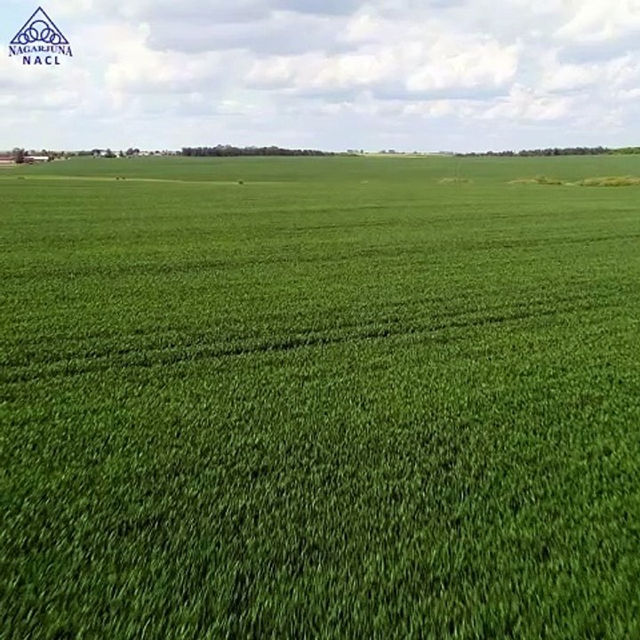 Advanced Agricultural Herbicides In India | Agricultural Products