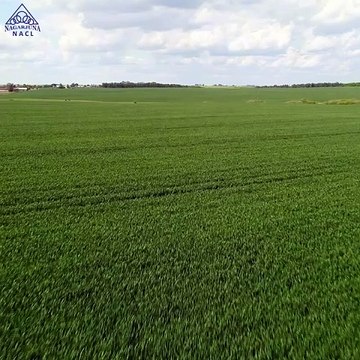 Advanced Agricultural Herbicides In India | Agricultural Products