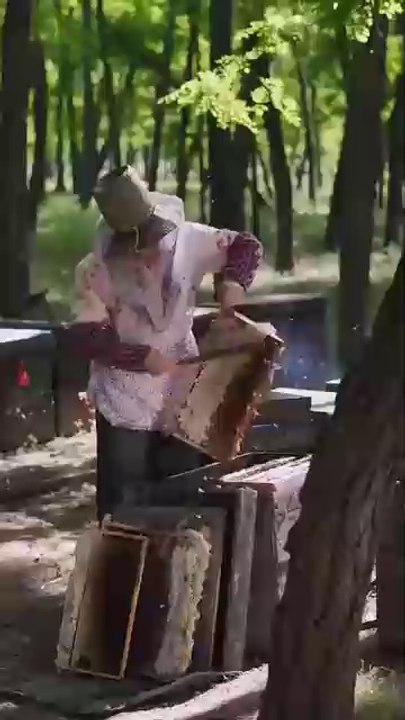 My village Life it's beautiful life I making honey 🍯