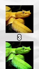 Ou est la photo originale ?