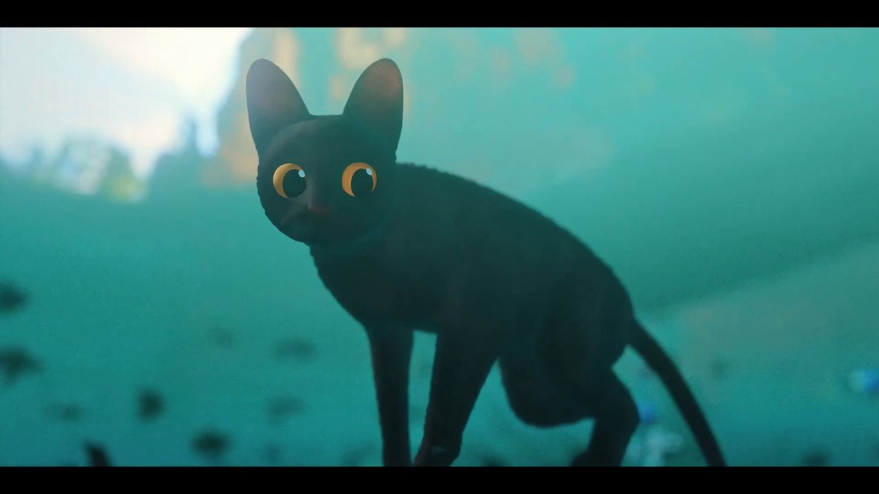 Flow - Trailer (Deutsch) HD