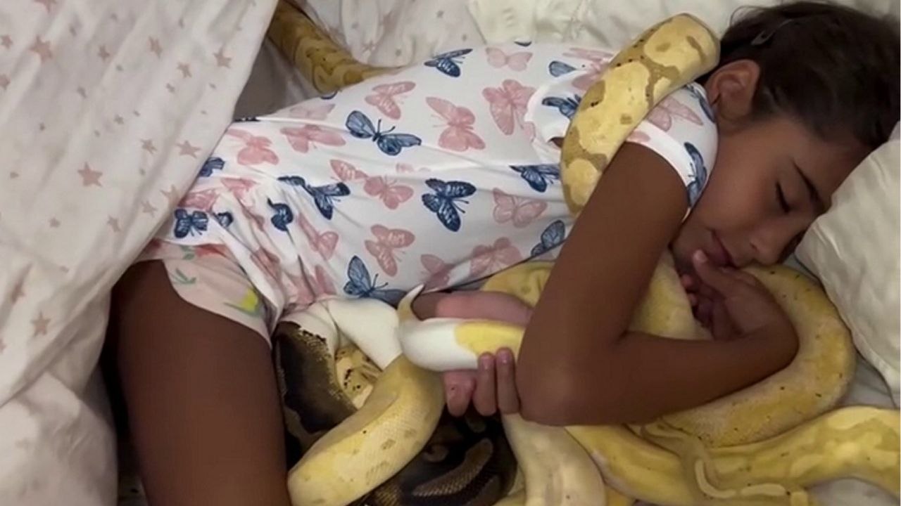 Papa verwandelt Garage in Serpentarium für 200 Schlangen - seine Kinder umarmen sie