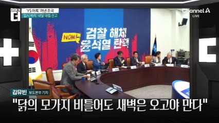 ‘YS 어록’ “용기·결기” 언급한 조국…왜?