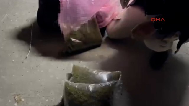 Güvercin kümesinde 5 kilo esrar ele geçirildi; 2 gözaltı