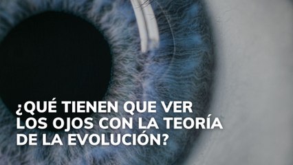 ¿Qué tienen que ver los ojos con la Teoría de la Evolución?