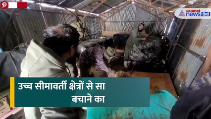 Rescue Video: आफत में फंसे भालू के लिए देवदूत बने जवान, दिल को छू जाएगा यह वीडियो