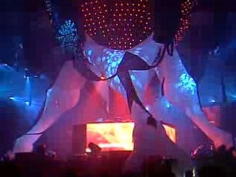 Black 2008 - Donkey Rollers - be-dance.be