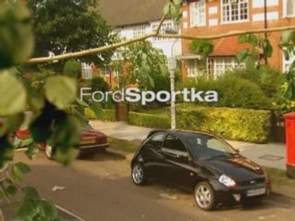 pub Ford Ka contre pigeon