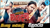 වෛරයේ මිතුදම  pathaan ).part .5 sinhala movie dubbed