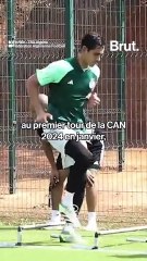 Djamel Belmadi pourrait porter plainte contre la Fédération algérienne de football