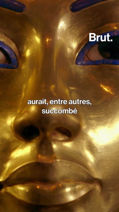 L'Égypte a éradiqué le paludisme