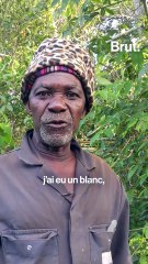 Il veut sauver les abeilles africaines