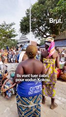 À la découverte des danses rituelles du vodun