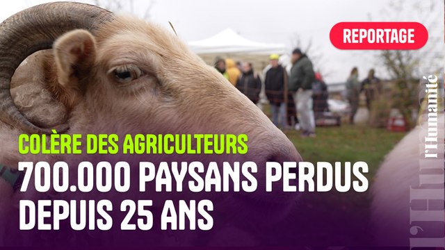À Reims, la Confédération paysanne refuse l'accord Mercosur et exigent des prix planchers