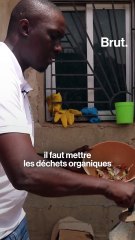 Du gaz avec des déchets organiques