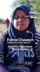 En Tunisie, l'huile d'olive victime des changements climatiques