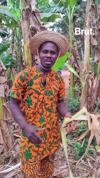 Il produit des mèches à base de troncs de bananiers