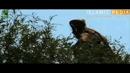 Umar Series Episode 10 | Urdu & Hindi Dubbed 🇵🇰🇮🇳