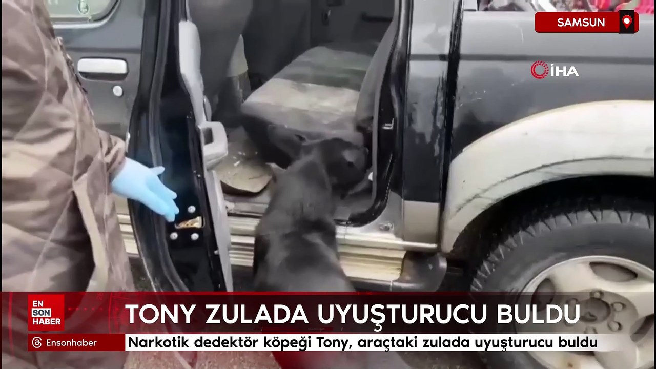 Samsun'da narkotik dedektör köpeği Tony, araçtaki zulada uyuşturucu buldu